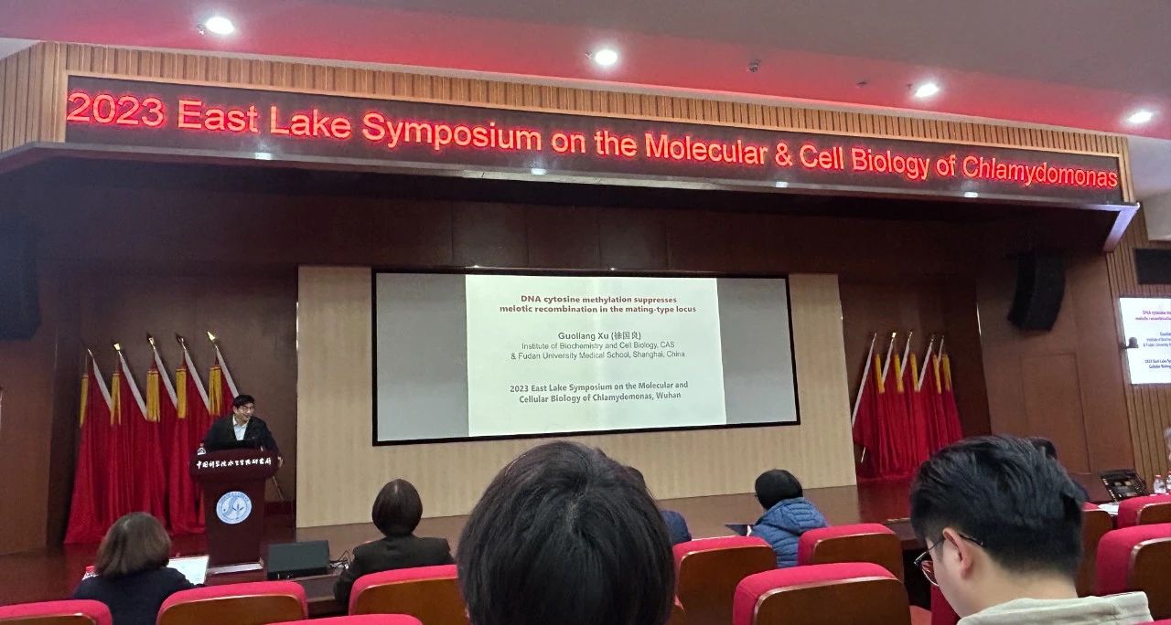 艾詩(shī)特蝦青素