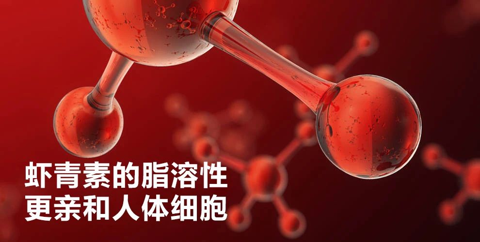 艾詩(shī)特蝦青素