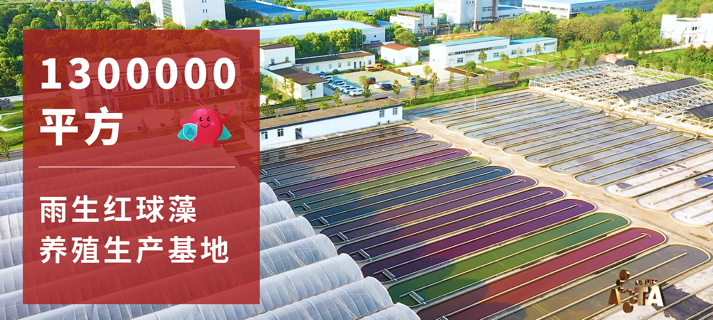 艾詩特蝦青素 艾詩特蝦青素