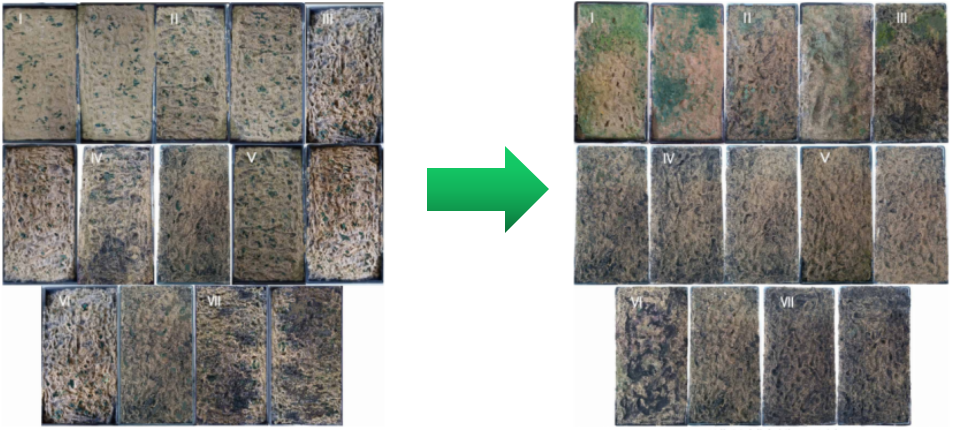 艾詩(shī)特蝦青素 艾詩(shī)特蝦青素