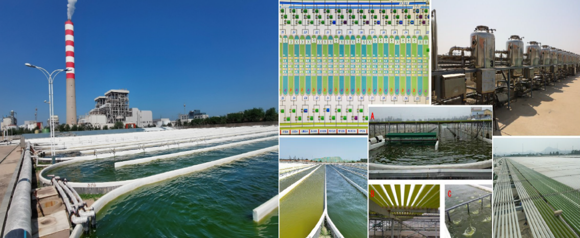 艾詩(shī)特蝦青素 艾詩(shī)特蝦青素