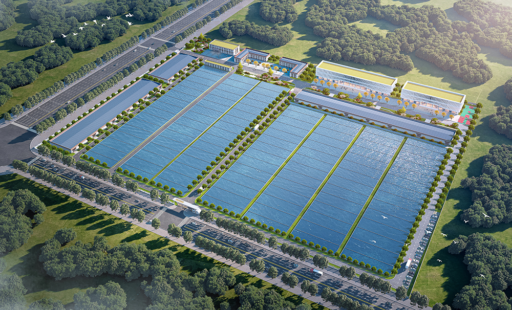 艾詩特蝦青素 艾詩特蝦青素