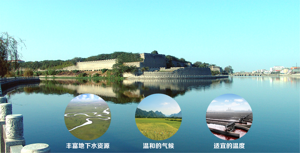 艾詩特蝦青素 艾詩特蝦青素