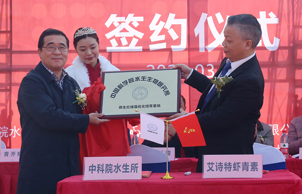 艾詩特蝦青素 艾詩特蝦青素