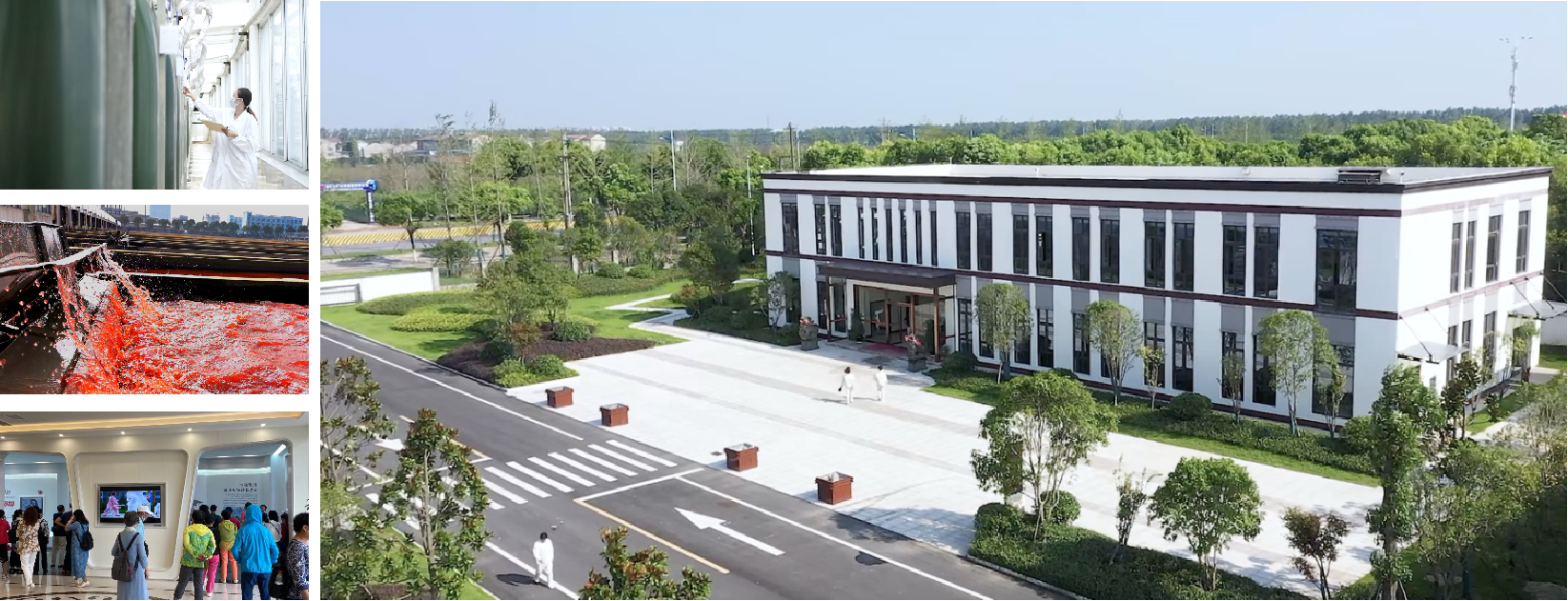 艾詩特蝦青素 艾詩特蝦青素