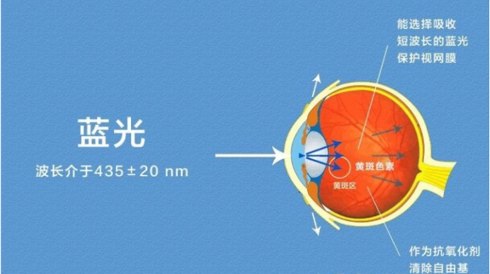 艾詩特蝦青素 艾詩特蝦青素