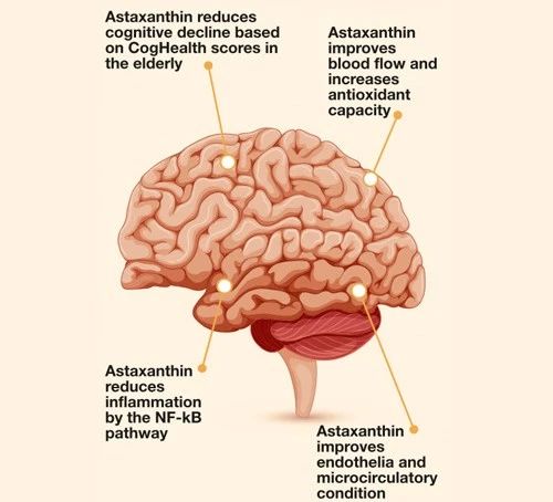 艾詩特蝦青素 艾詩特蝦青素