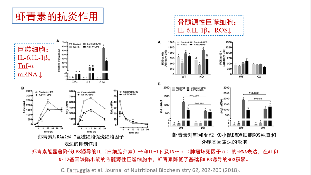 艾詩特蝦青素 艾詩特蝦青素
