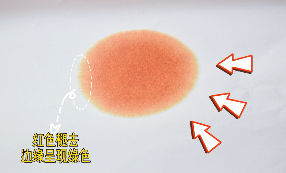 艾詩特蝦青素 艾詩特蝦青素