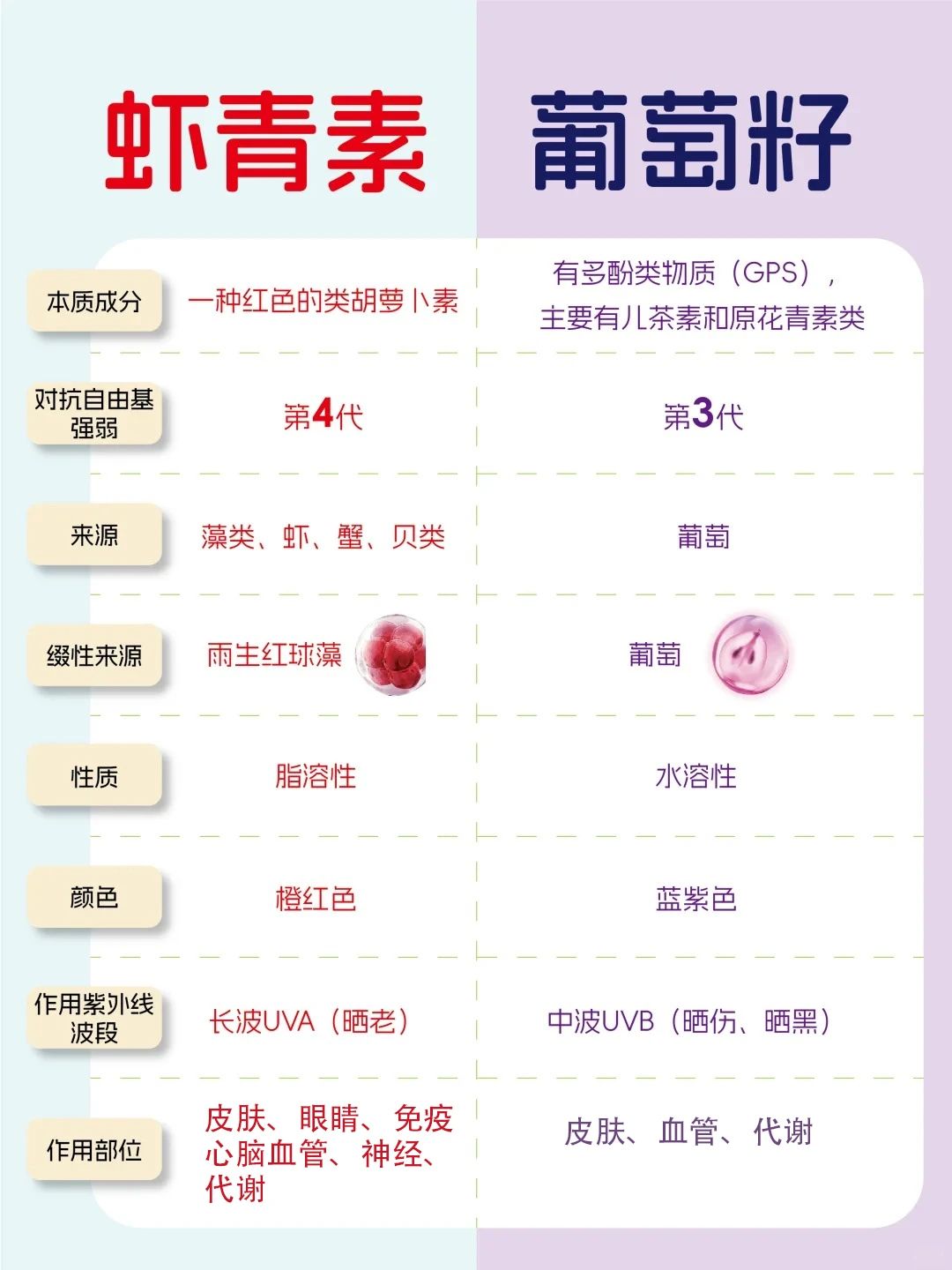 艾詩特蝦青素 艾詩特蝦青素