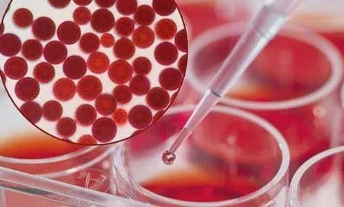 艾詩(shī)特蝦青素