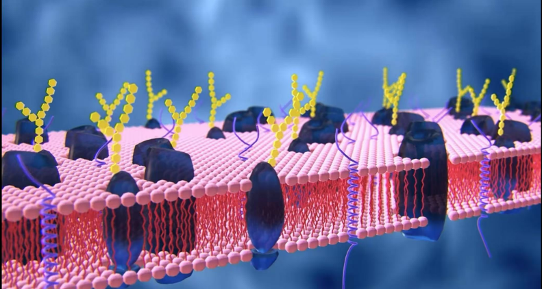 艾詩特蝦青素 艾詩特蝦青素