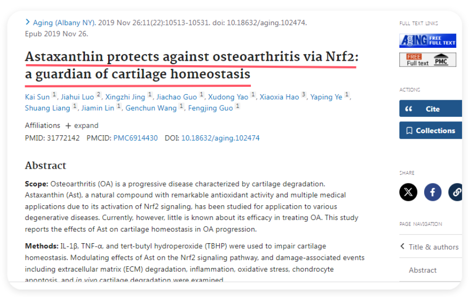 艾詩(shī)特蝦青素