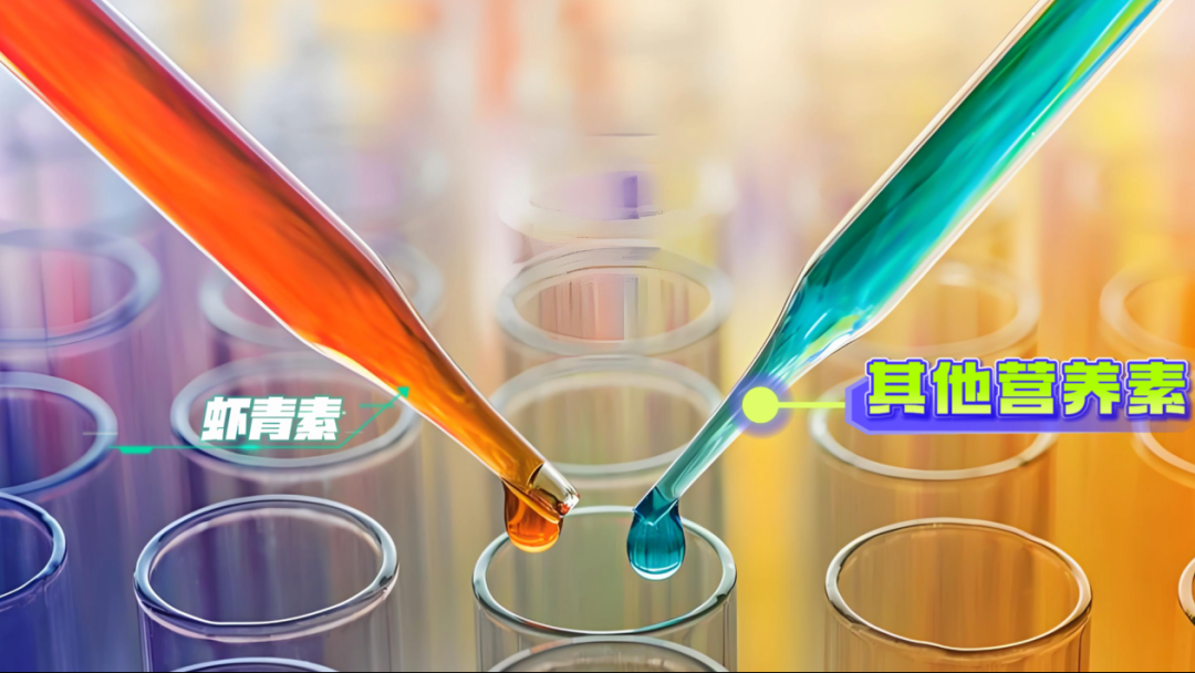 艾詩(shī)特蝦青素 艾詩(shī)特蝦青素