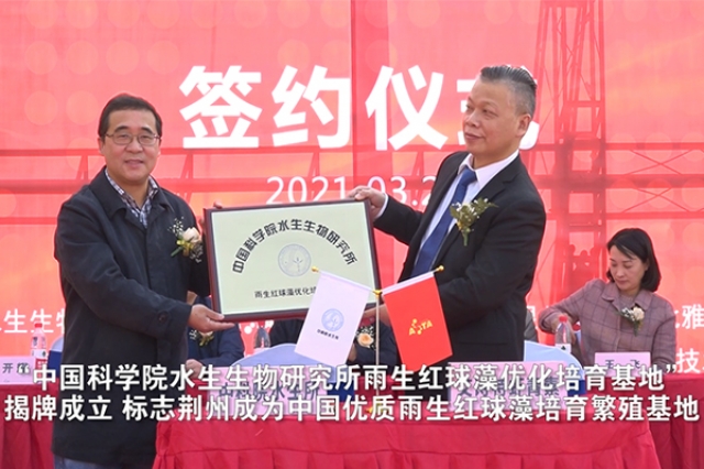 中國科學(xué)院水生物研究所雨生紅球藻培育基地