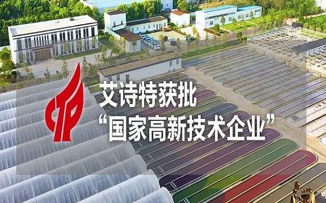 【喜訊】艾詩特成功獲批“國家高新技術企業(yè)”