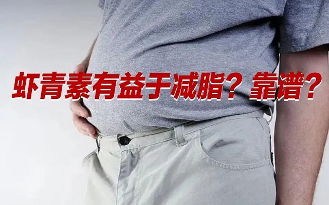 【冷知識】肥胖居然是一種炎癥！蝦青素有益于“消炎”？