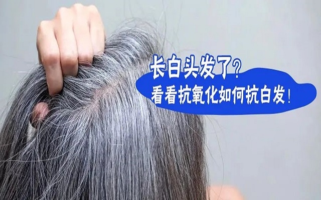 防治白發(fā)要從抗氧化開(kāi)始？