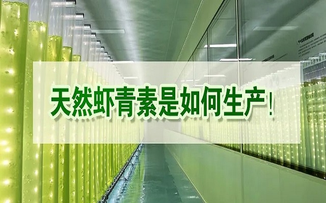 天然蝦青素是如何生產(chǎn)？走進(jìn)源頭工廠看一看！